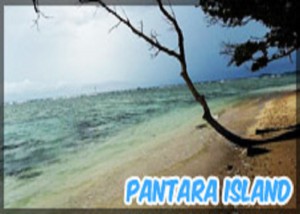 pulau pantara