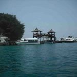 Wisata Pulau Sepa Menyelam Di Pulau Seribu