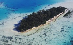 Pulau Karang Bongkok