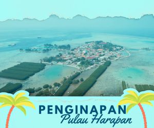 Penginapan Pulau harapan