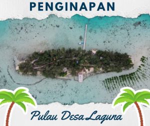 penginapan desa laguna