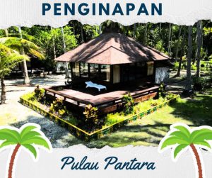 penginapan pulau pantara