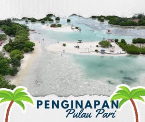 penginapan pulau pari