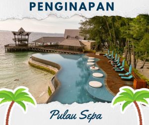 penginapan pulau sepa