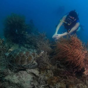 wisata pulau pramuka